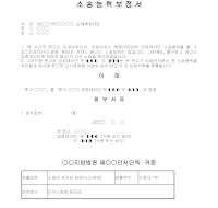 보정서 (소송능력) 보정서 (소송능력)